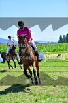 ref. photo 3287709