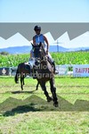 ref. photo 3287715