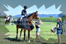 ref. photo 3287717