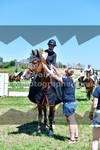 ref. photo 3287718