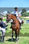 ref. photo 3287729