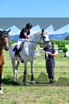 ref. photo 3287732