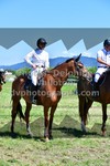 ref. photo 3287741