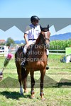 ref. photo 3287745