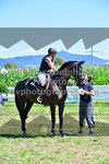 ref. photo 3287750