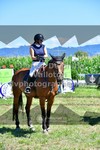 ref. photo 3287753