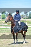 ref. photo 3287772