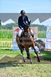 ref. photo 3287814