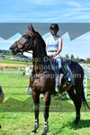ref. photo 3287832