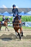 ref. photo 3287952