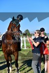 ref. photo 3287992