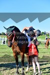ref. photo 3287994