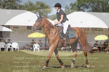 ref. photo 3288036