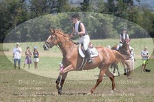 ref. photo 3288054
