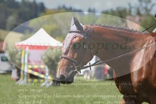 ref. photo 3288089