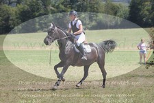 ref. photo 3288107