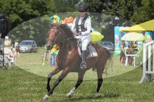 ref. photo 3288118