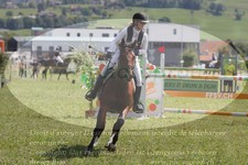 ref. photo 3288124