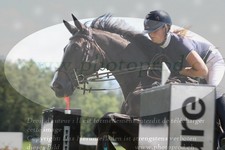 ref. photo 3288152