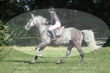 ref. photo 3288166