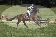 ref. photo 3288178