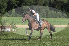 ref. photo 3288182