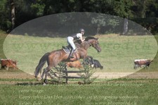 ref. photo 3288183