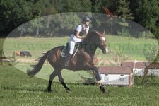 ref. photo 3288186