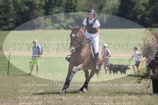 ref. photo 3288194
