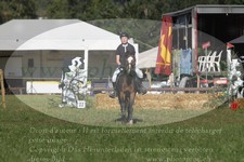 ref. photo 3288295