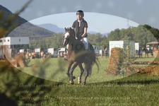 ref. photo 3288299