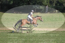 ref. photo 3288319
