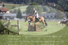 ref. photo 3288320