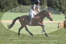 ref. photo 3288323