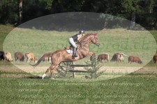 ref. photo 3288348