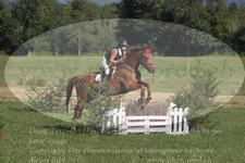 ref. photo 3288350