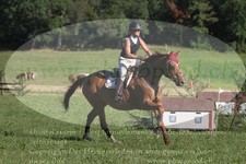ref. photo 3288351