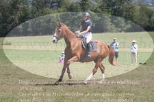 ref. photo 3288382