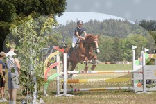 ref. photo 3288383