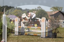 ref. photo 3288396