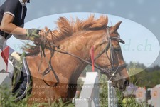 ref. photo 3288411