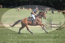 ref. photo 3288429