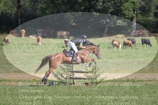ref. photo 3288434