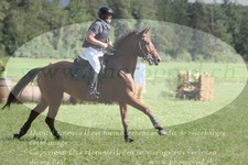 ref. photo 3288440