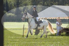 ref. photo 3288454