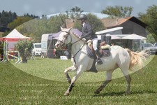 ref. photo 3288472