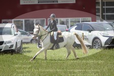 ref. photo 3288475
