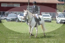 ref. photo 3288478