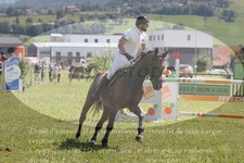 ref. photo 3288480