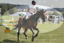 ref. photo 3288484